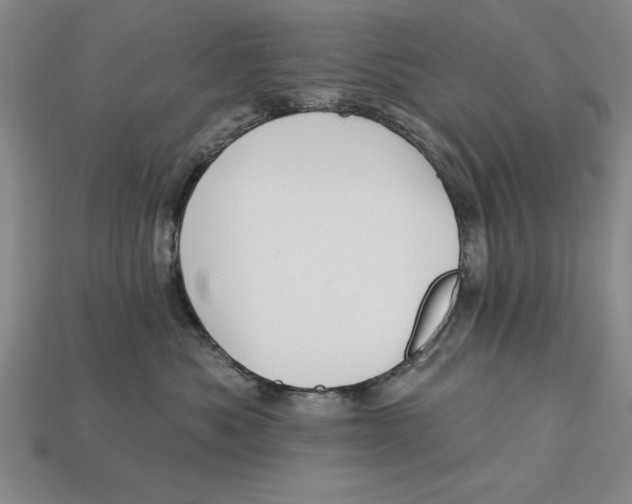 X0000113020525200909241637