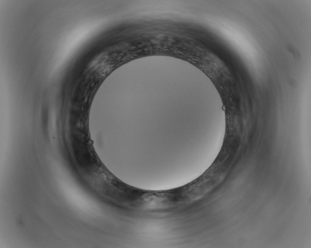 X0000113020526200909241637