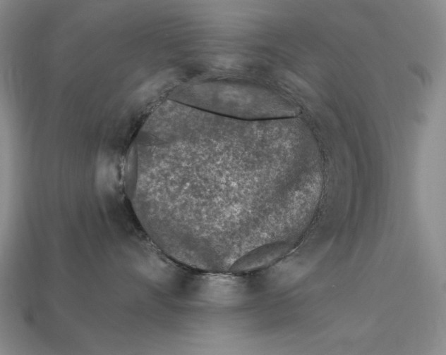 X0000113020528200909241637