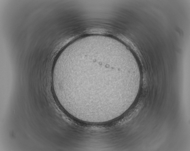 X0000113020529200909241637