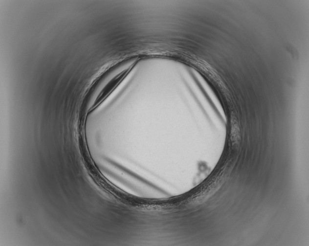 X0000113020530200909241637