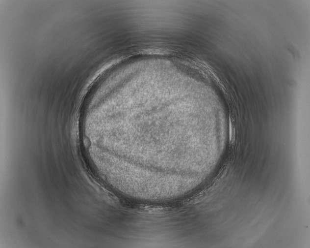 X0000113020531200909241637