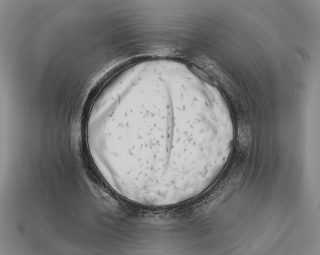 X0000113020532200909241637