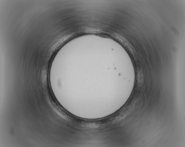 X0000113020533200909241637