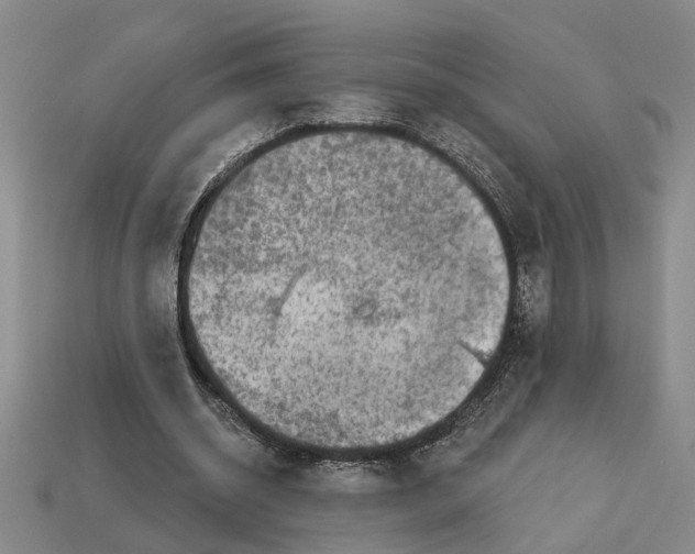 X0000113020534200909241637