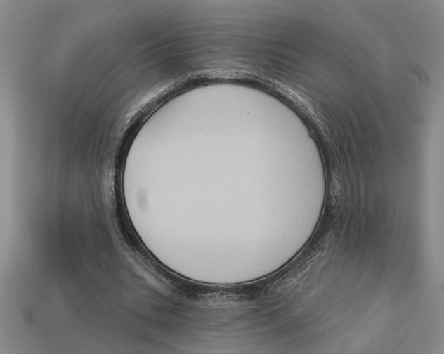 X0000113020535200909241637