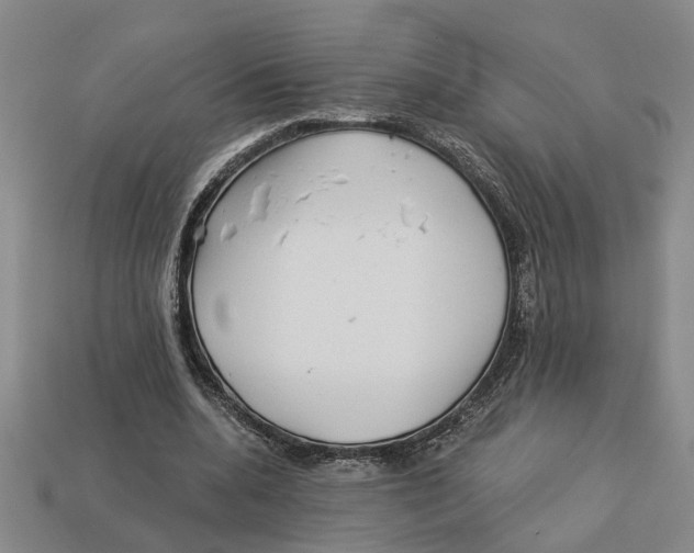 X0000113020536200909241637