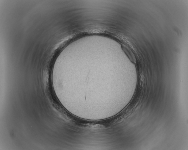 X0000113020539200909241637