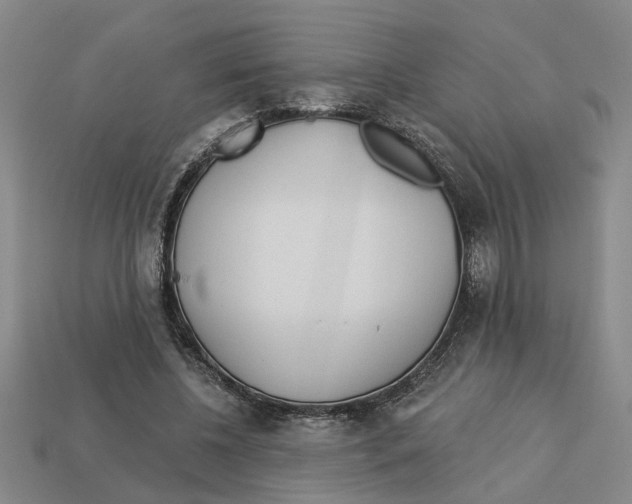 X0000113020540200909241637