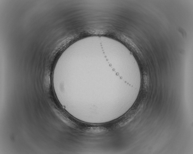 X0000113020541200909241637