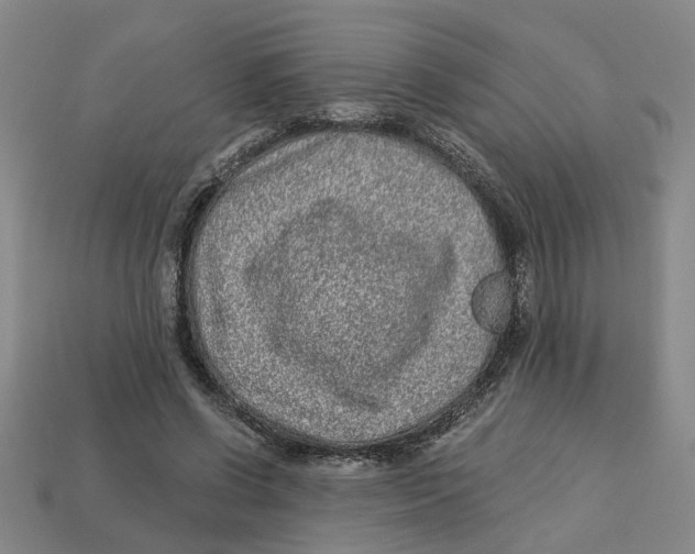 X0000113020542200909241637