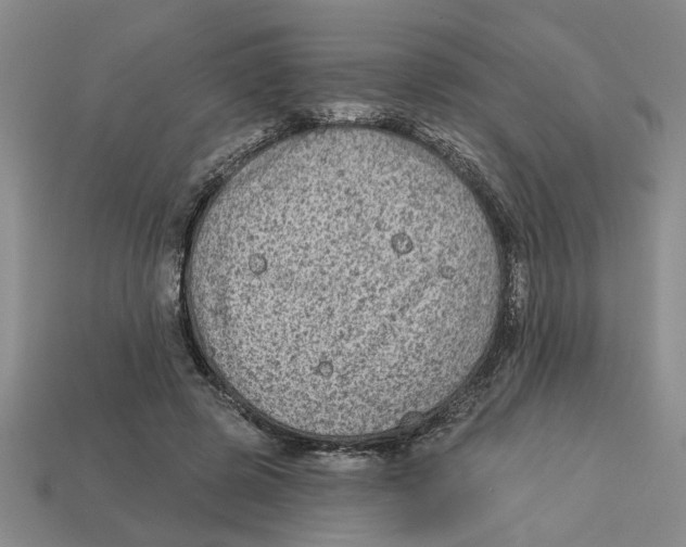 X0000113020545200909241637