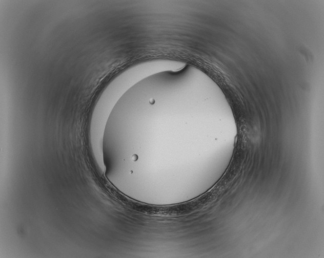 X0000113020546200909241637