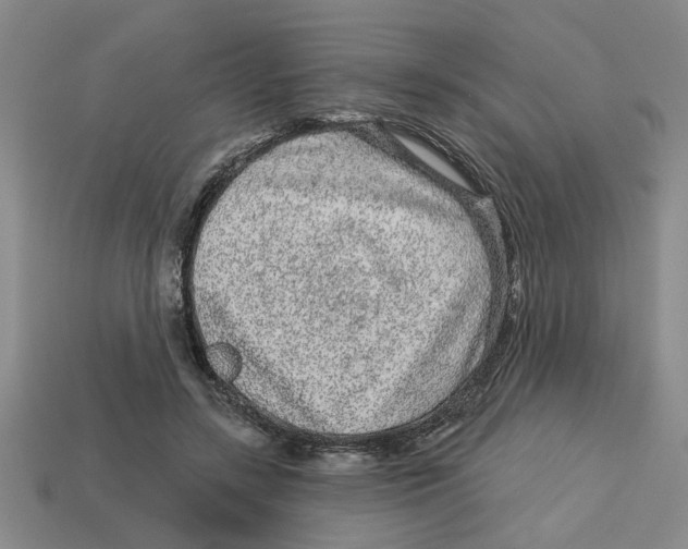 X0000113020547200909241637