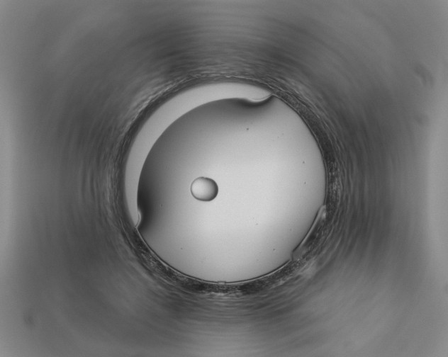 X0000113020548200909241637