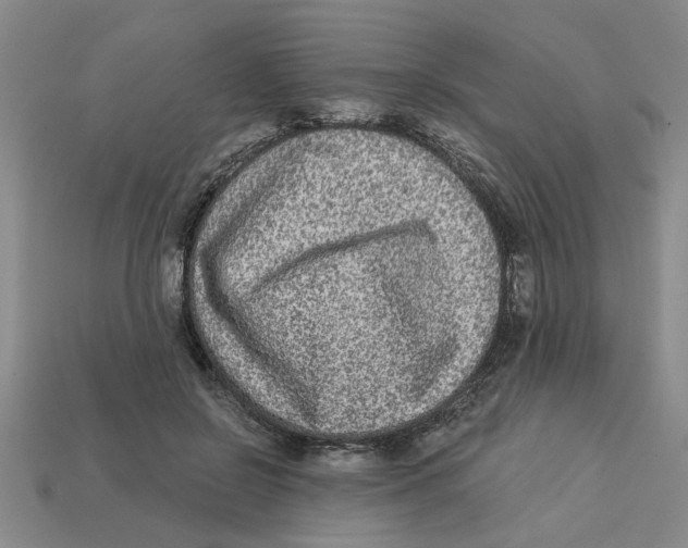 X0000113020550200909241637