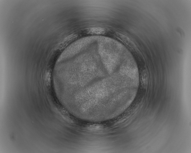 X0000113020551200909241637