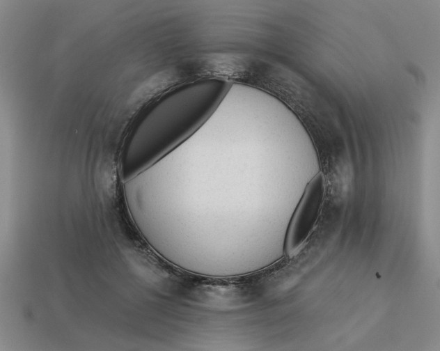 X0000113020552200909241637