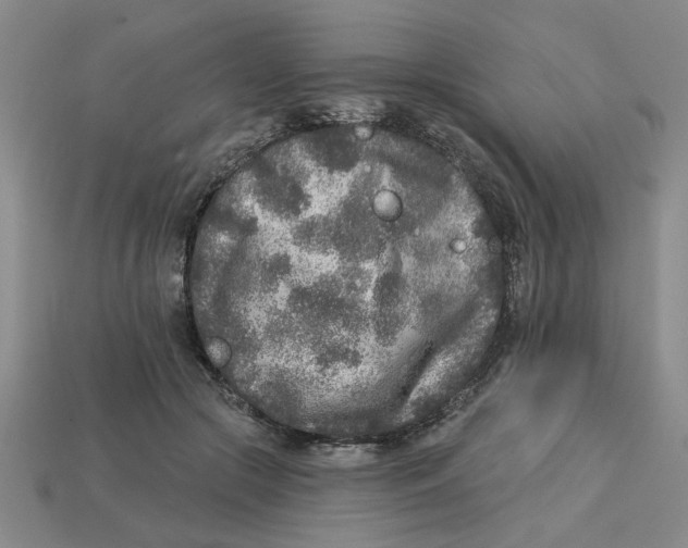 X0000113020553200909241637