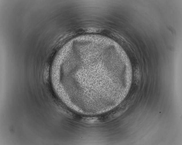 X0000113020554200909241637