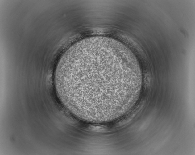 X0000113020557200909241637