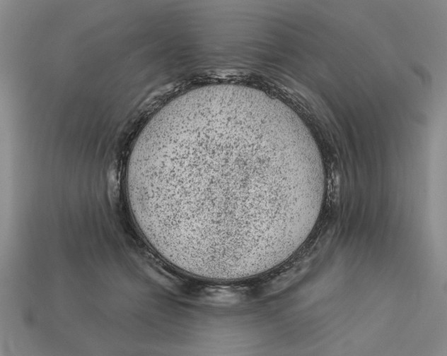 X0000113020558200909241637