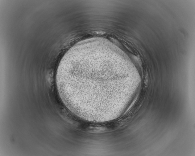 X0000113020559200909241637