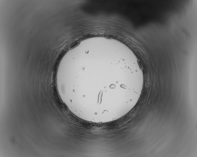 X0000113020560200909241637