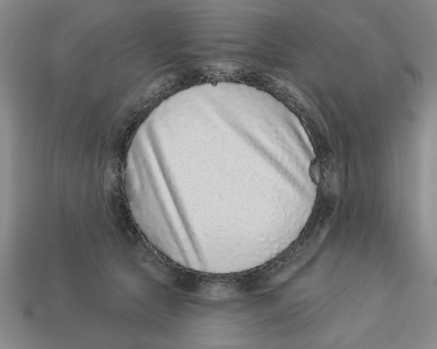 X0000113020561200909241637