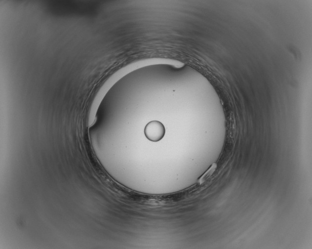 X0000113020562200909241637