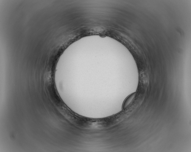 X0000113020564200909241637