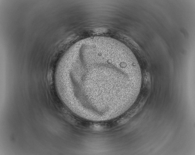 X0000113020565200909241637