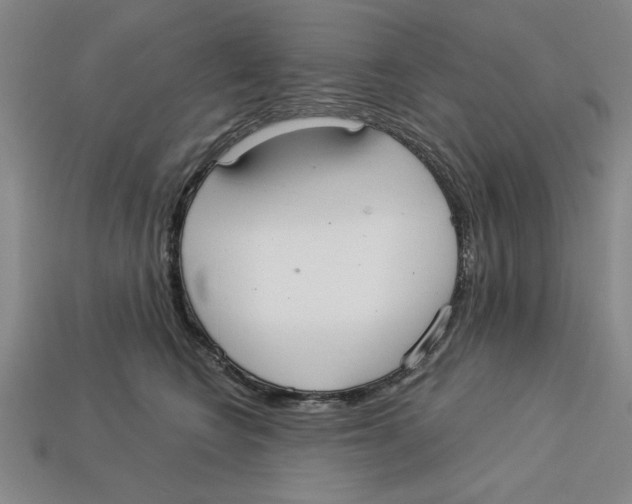 X0000113020566200909241637