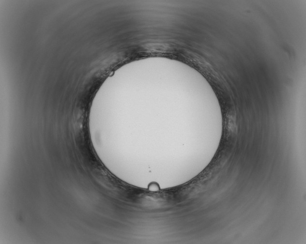 X0000113020567200909241637