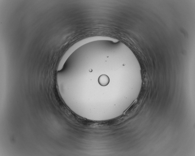 X0000113020568200909241637