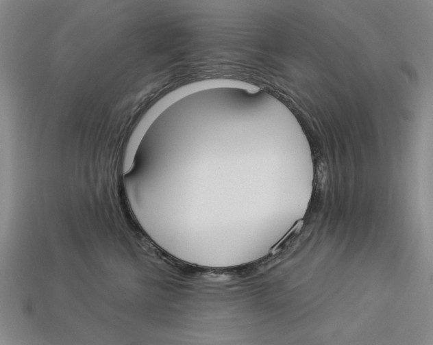 X0000113020570200909241637