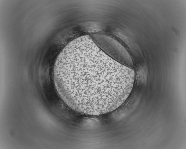 X0000113020572200909241637