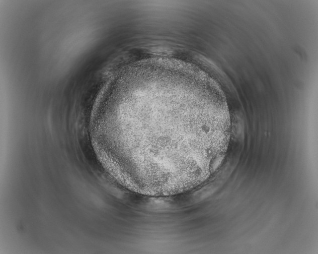 X0000113020573200909241637