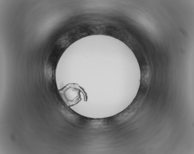 X0000113020574200909241637