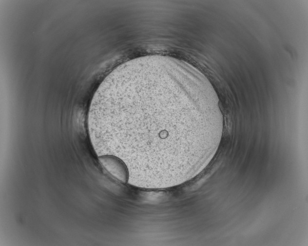 X0000113020575200909241637