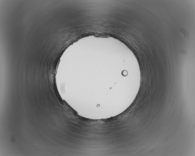 X0000113020576200909241637