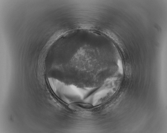 X0000113020577200909241637