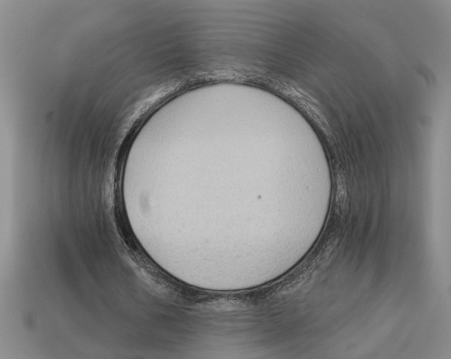 X0000113020578200909241637