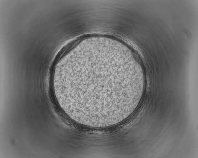 X0000113020580200909241637