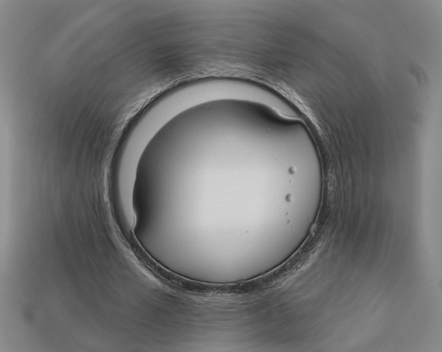 X0000113020581200909241637