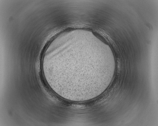 X0000113020582200909241637