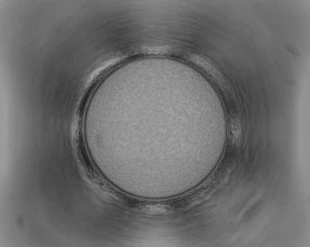 X0000113020583200909241637