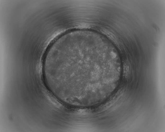 X0000113020584200909241637