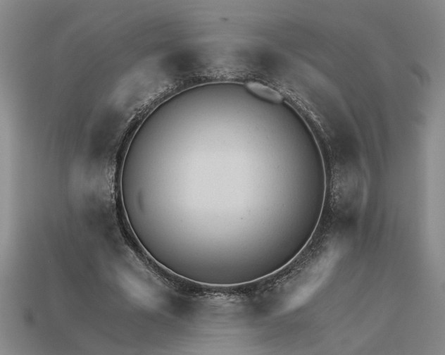 X0000113020585200909241637