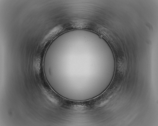 X0000113020586200909241637